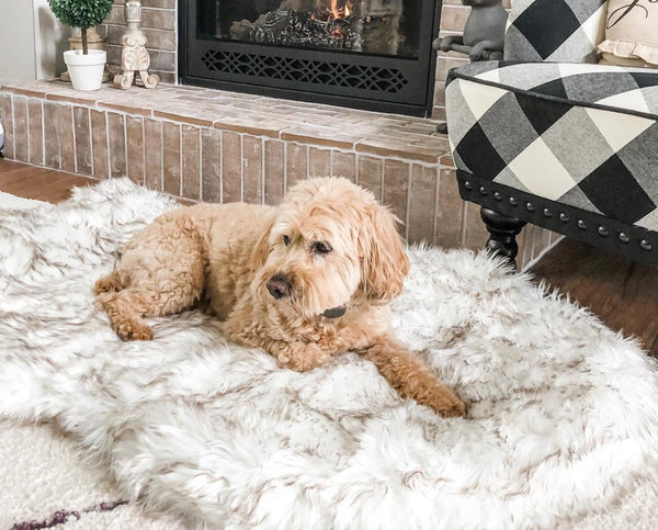 Kahu & Kin Luxe Faux Fur Orthopedic Bed™