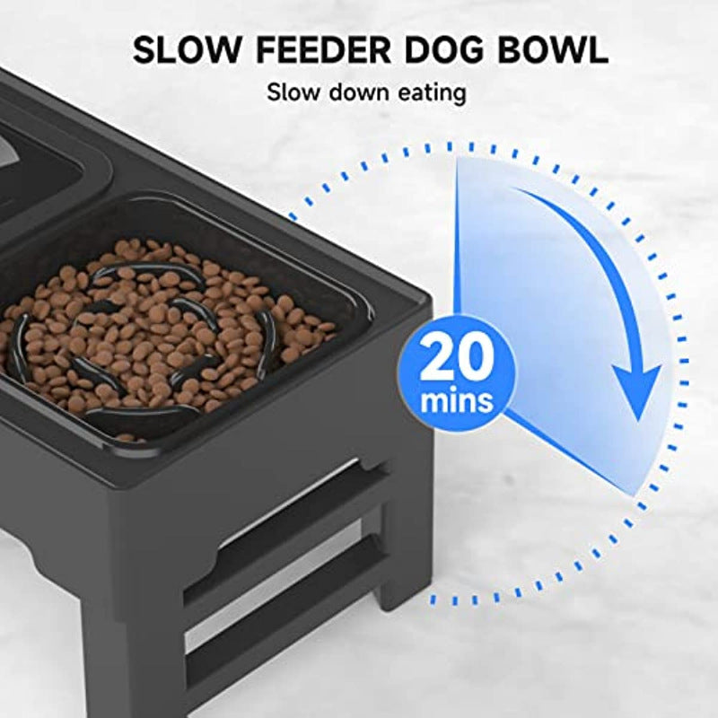 Kahu & Kin Elevated Slow Feeding System