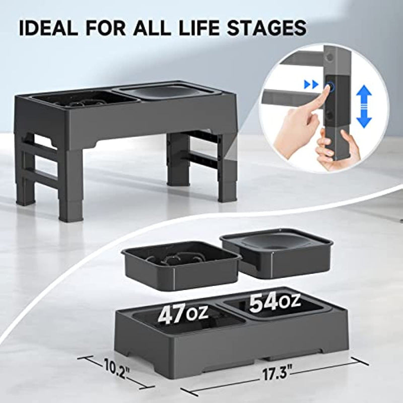 Kahu & Kin Elevated Slow Feeding System
