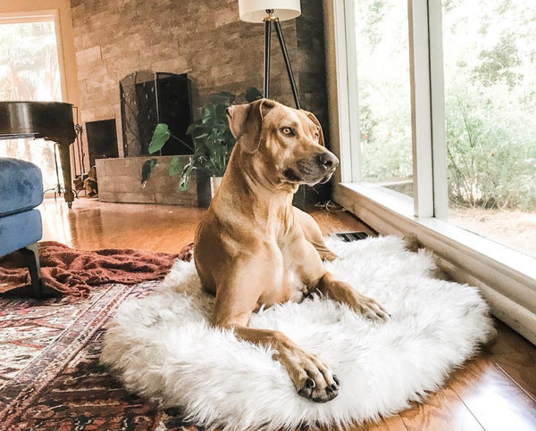 Kahu & Kin Luxe Faux Fur Orthopedic Bed™