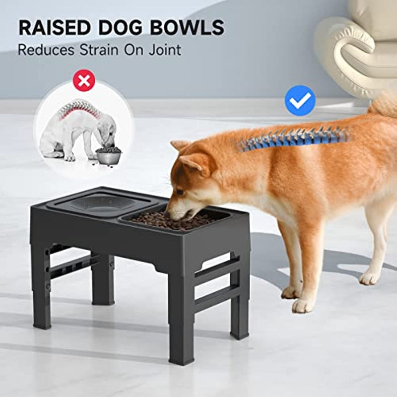 Kahu & Kin Elevated Slow Feeding System