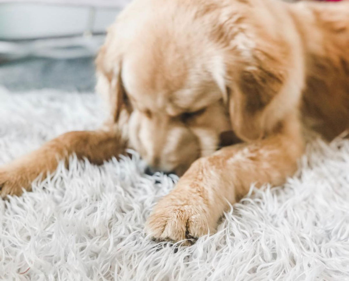 Kahu & Kin Luxe Faux Fur Orthopedic Bed™